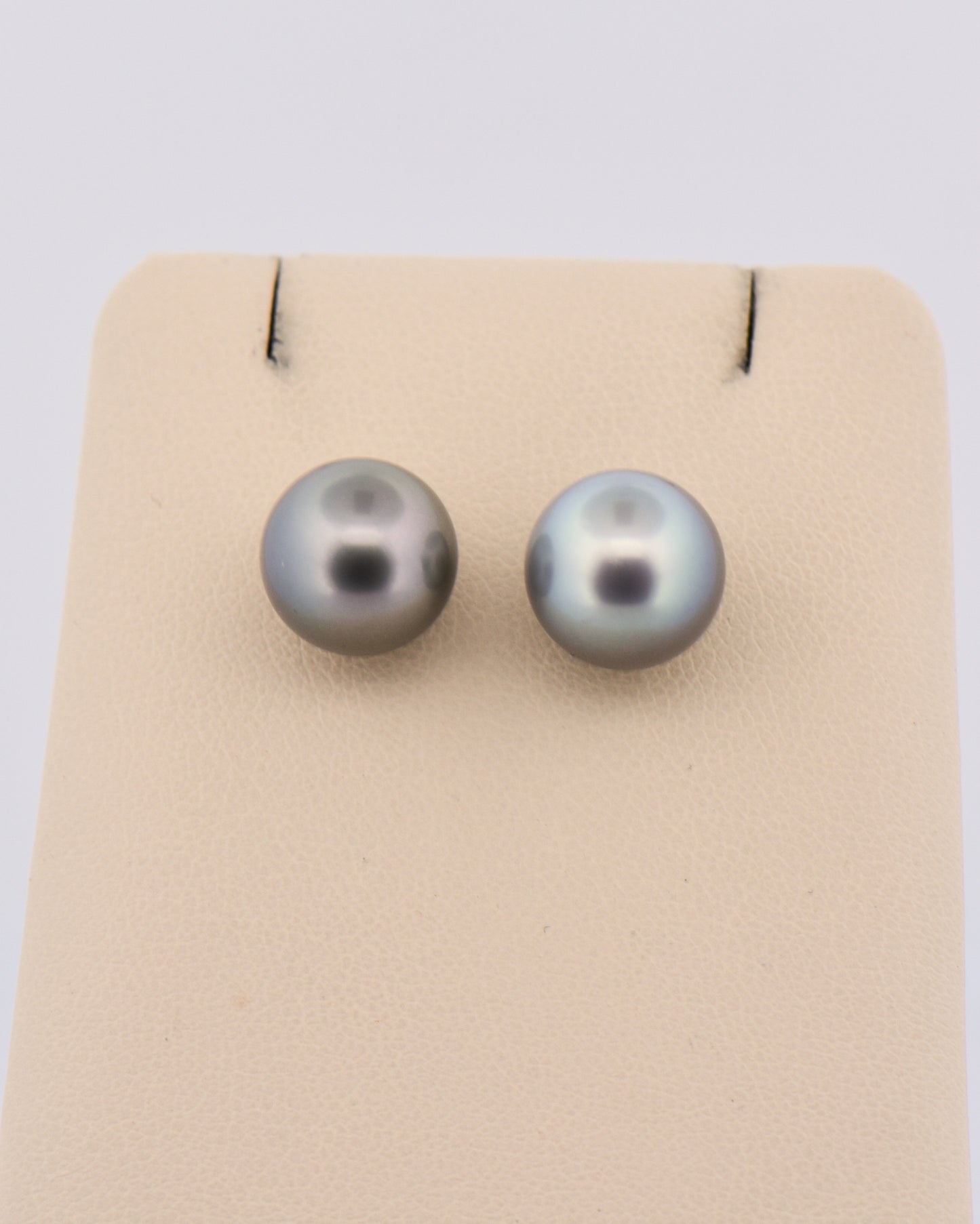 Black Tahition Pearl Stud Earrings