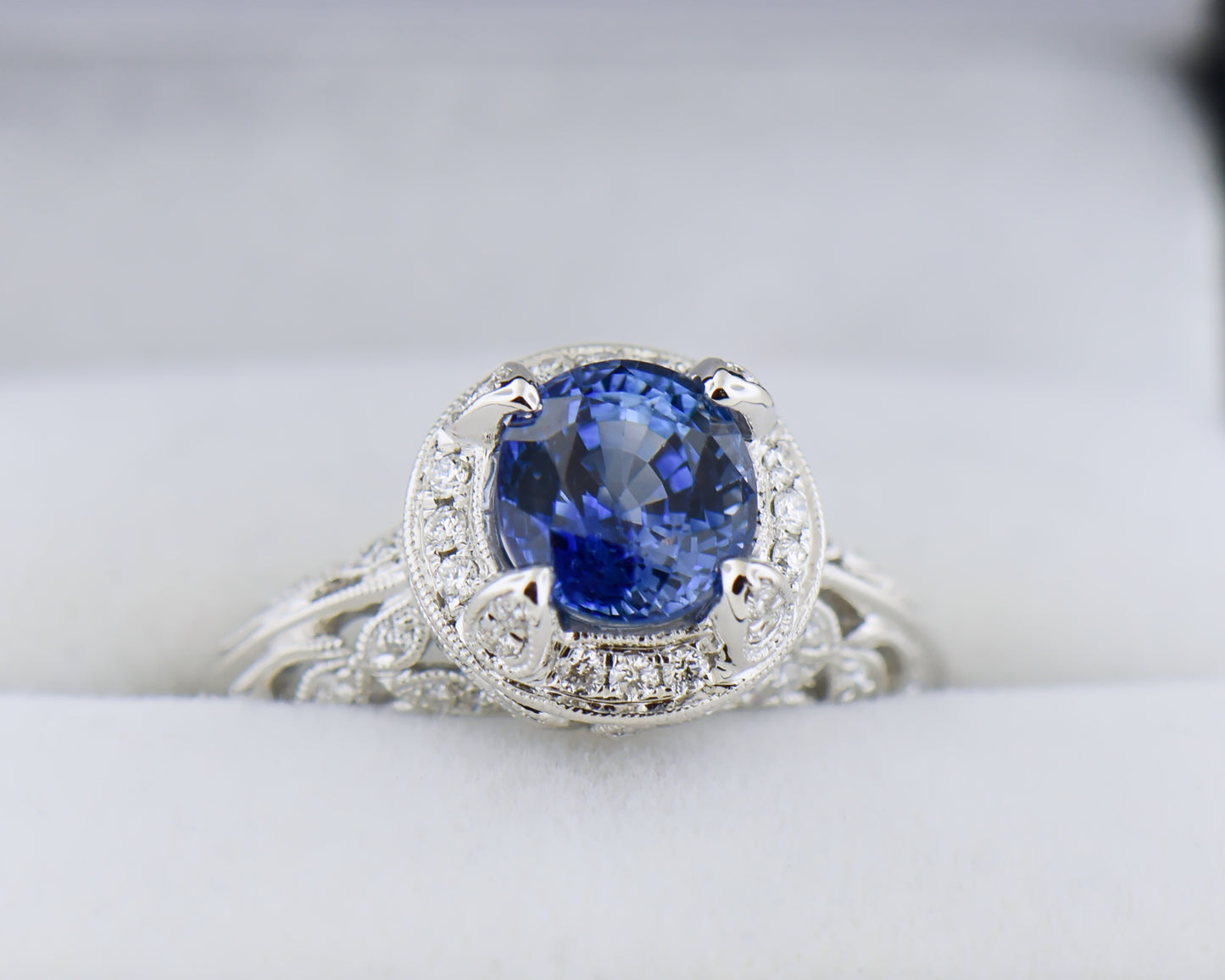 Custom White Gold Filigree Ring with Large Ceylon Sapphire