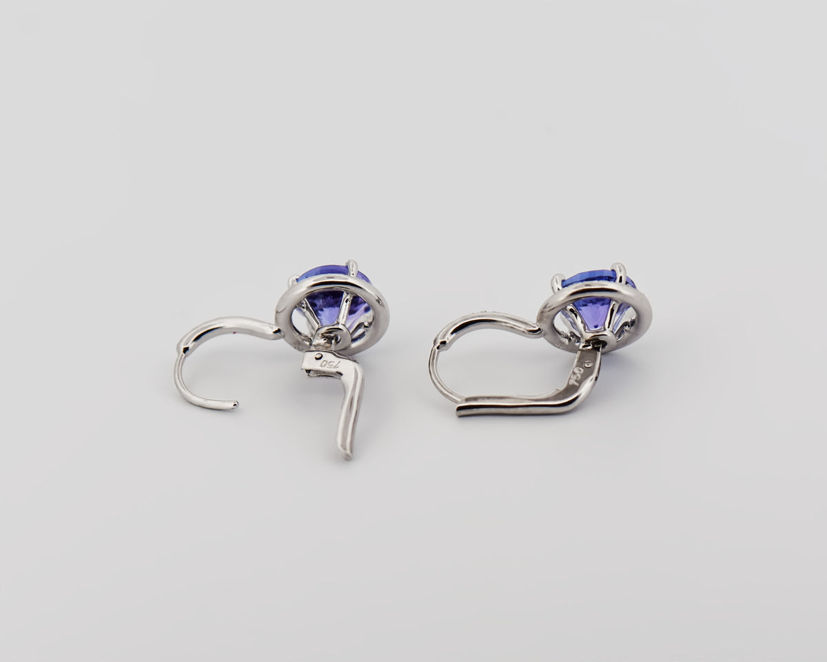 Tanzanite Halo Earrings with Leverbacks