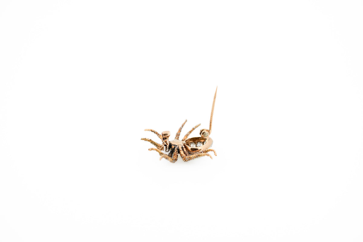 Amazing Antique Realistic Spider Brooch with Textured Gold & Gemstones