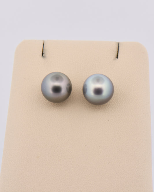 Black Tahition Pearl Stud Earrings