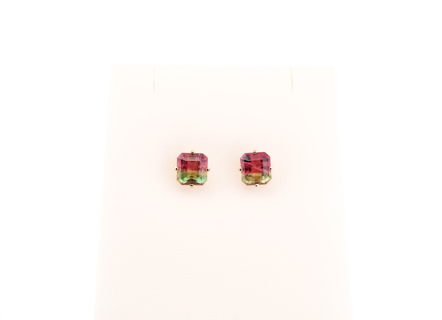 Brazilian Watermelon Tourmaline Stud Earrings in 14k Yellow Gold