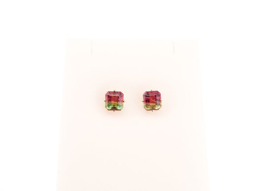 Brazilian Watermelon Tourmaline Stud Earrings in 14k Yellow Gold