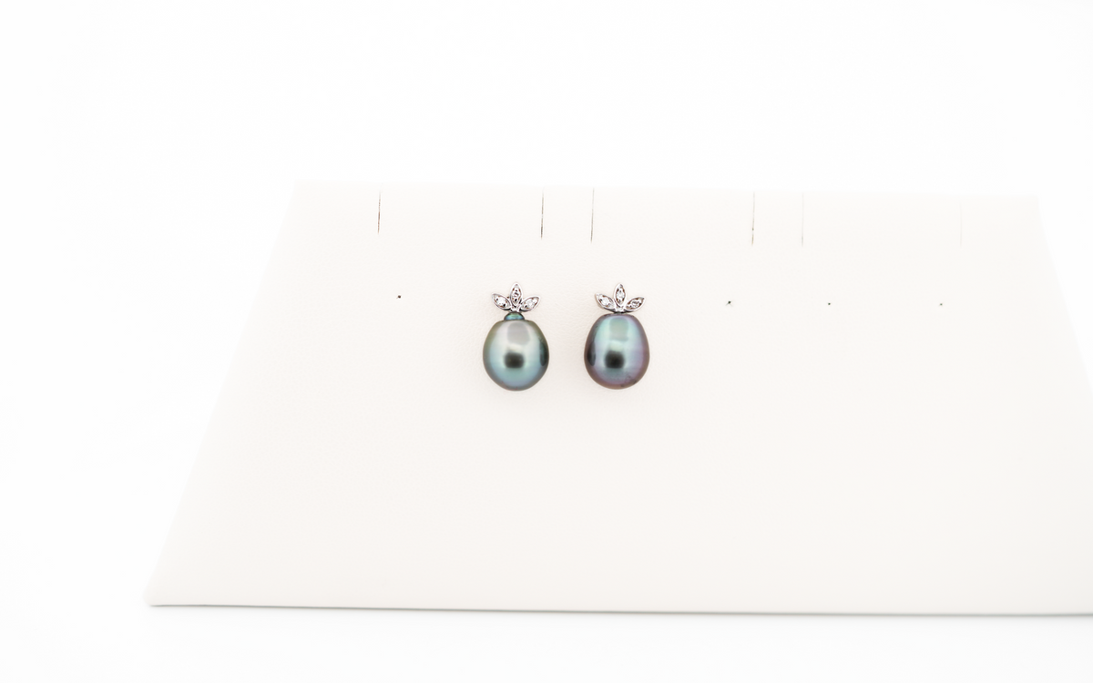 Tahitian Black Pearl & Diamond Stud Earrings in White Gold