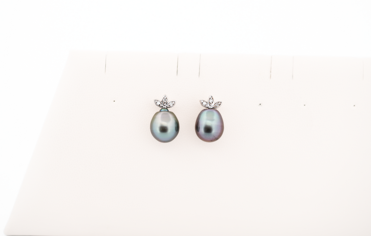 Tahitian Black Pearl & Diamond Stud Earrings in White Gold