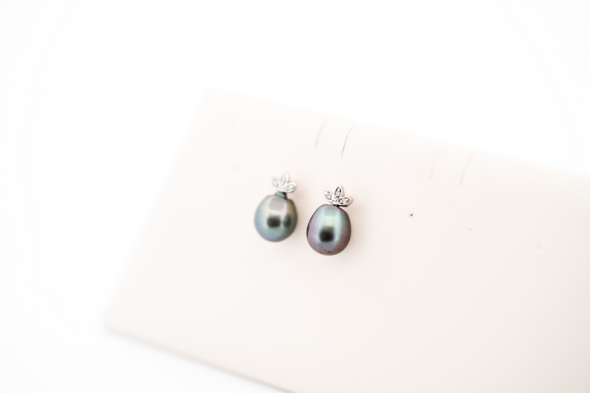 Tahitian Black Pearl & Diamond Stud Earrings in White Gold
